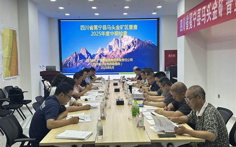 󿱼ŵʡͶĿͷղͨʡ2025ڼ