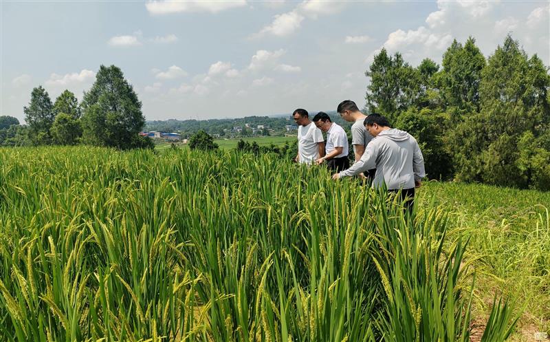 Ѵ���Ų鲻��и   ��벢��ץ����